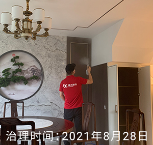 楚河·金茂府