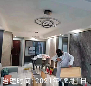 徐州-翡翠城